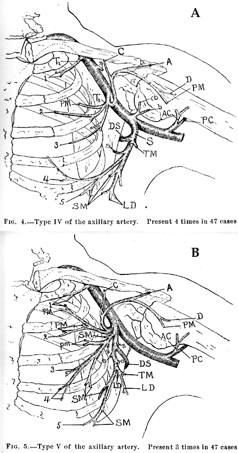 Image of composite study of axillary artery