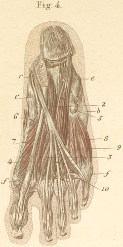 Figure 11-4