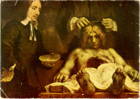 Image of rembrandt dissection