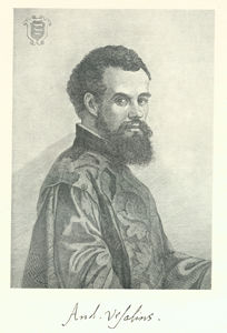 Image of vesalius