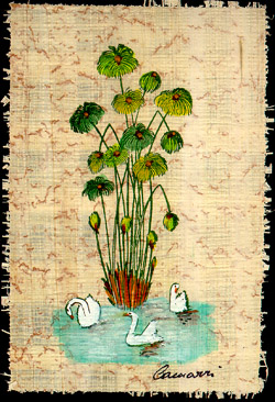 Image of papyrus