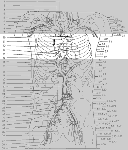 Key Figure 3d