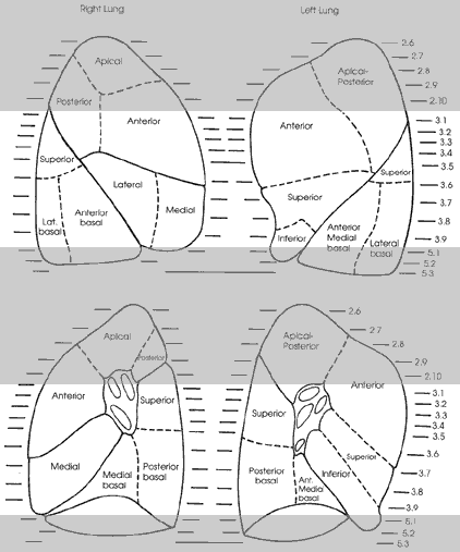 Key Figure 3e