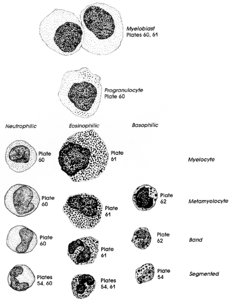 Figure 4B